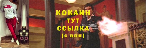 ECSTASY Дрезна