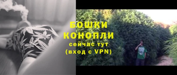 2c-b Богданович