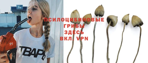 каннабис Сосновый Бор