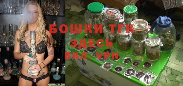 2c-b Богданович