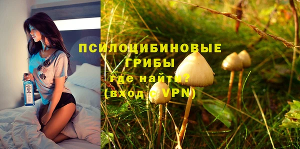 соль ск Дубна