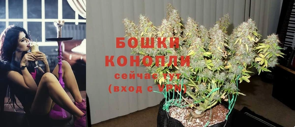2c-b Богданович